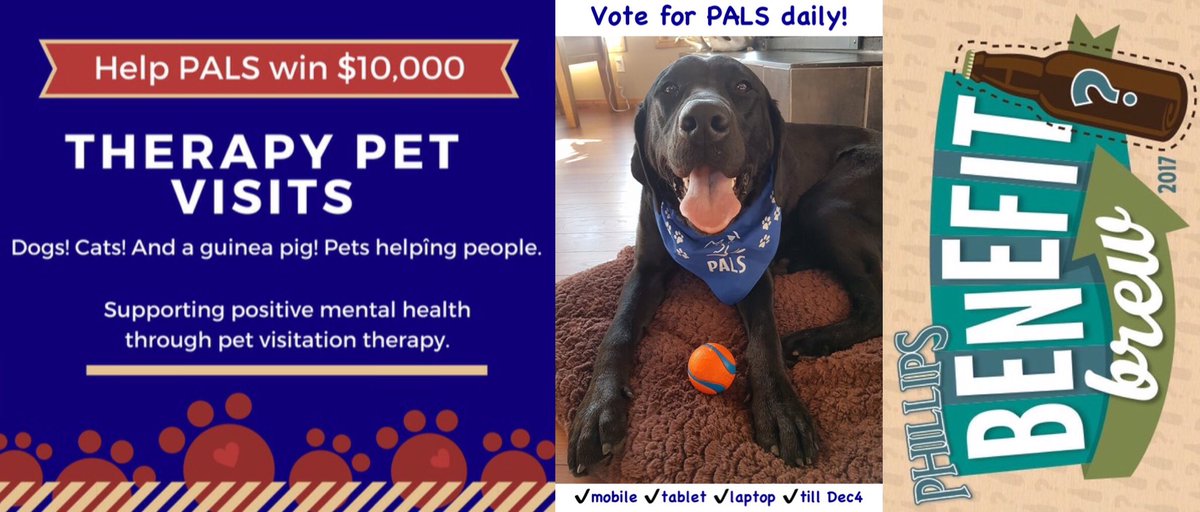 PALSCalgary's tweet photo. ❤️VOTE, retweet, &amp; share please ❤️
#PALSpet Rio has a deal for you. He's verrry choosy about who he'll play catch with but if you VOTE for PALS to win the $10k from #benefitbrew he'll *consider* letting you throw the ball for him. 
VOTE: https://t.co/maYMI16hDB
@phillipsbeer https://t.co/sLUNr1BOQF