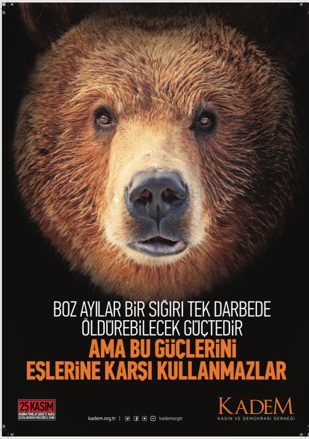 KADEM Ankara tweet media