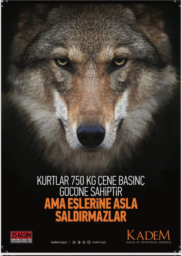 KADEM Ankara tweet media