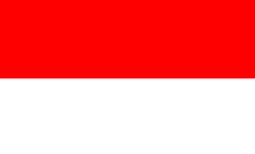 Let's make Indonesia's flag flying in Miss Universe stage! RT-ing much please #MissUniverse #Indonesia