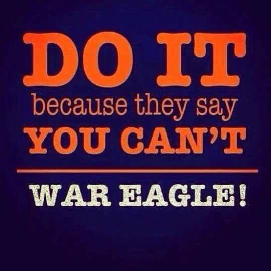 kimcouncil's tweet photo. #WarEagle #BeatBama #RememberedInNovember https://t.co/5OIq2VAz3m