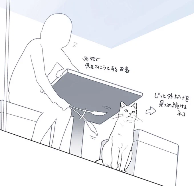 そういえば今日、猫カフェの前を通ったら窓越しにこんな光景が見えて私が猫カフェ行っても猫にあんな感じの塩対応されそうだなって思いました 