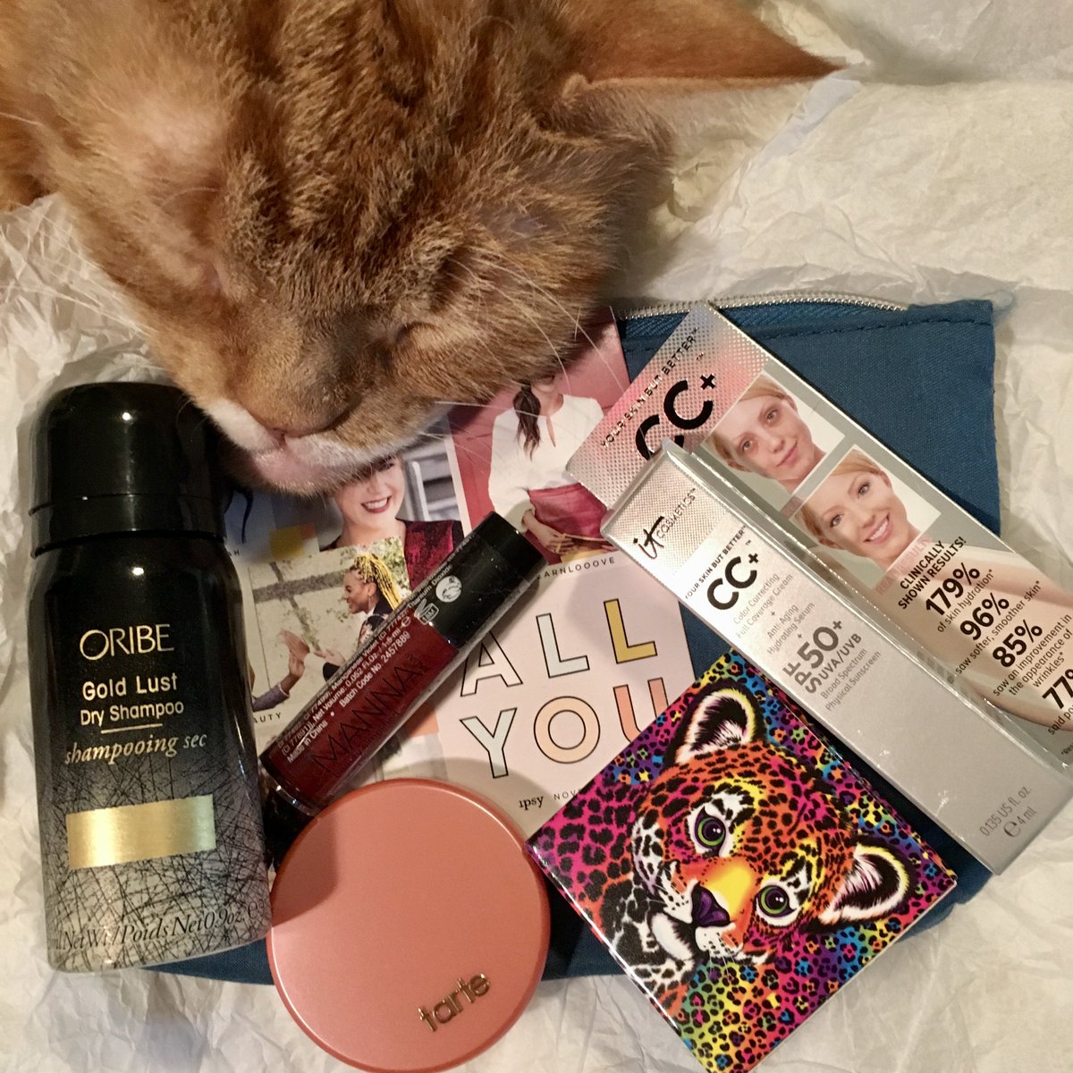 rougebeka's tweet photo. November #ipsy review is up: https://t.co/blUoA3CUpS #ipsyAllYou #Sweepstakes #bbloggers #rougebeka #milomymakeup https://t.co/90EzALiQCA