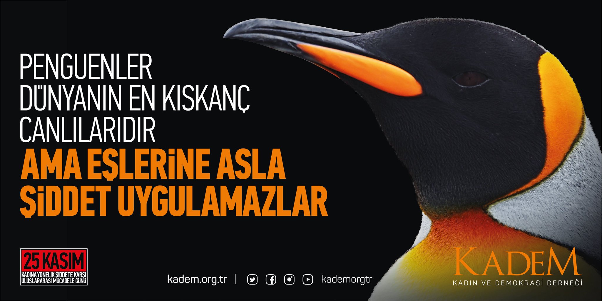 İnsan neden şiddet uygular İnsan neden şiddet uygular