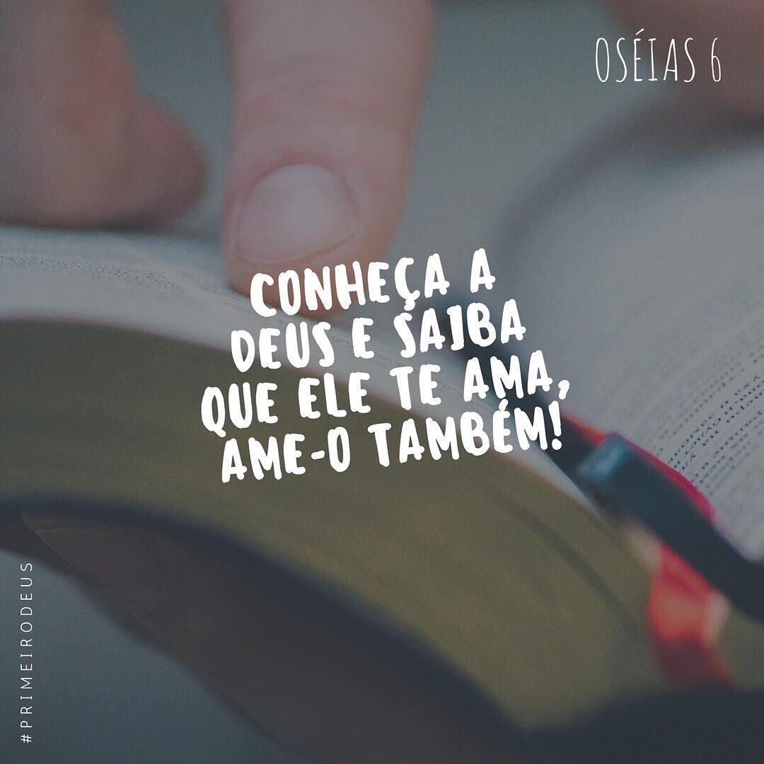prertonkohler's tweet image. #Os6| Não importa quantas teorias inventem, quanta pressão façam ou quanta discriminação imponham, mas a vinda do Senhor é certa e aqueles que O conhecem profundamente permanecerão em pé. #rpSp #PrimeiroDeus