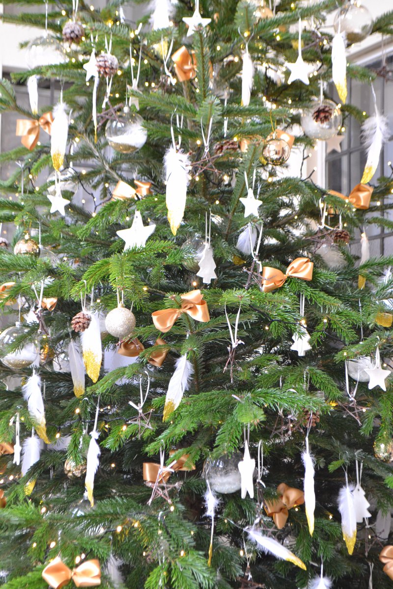 TFC_GROUP's tweet photo. @_Plantology What a great job you and your team have done!! Here are some before and after pictures of the 10 ft Christmas tree that #madandy delivered to site for you earlier this week😄🎅 All part of the service! #service #localbusiness #sheffield @SeanGoldsmith2  #halllam2 https://t.co/aCMtCpNoWk