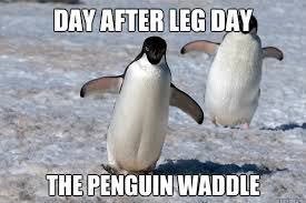BrianHutton188's tweet photo. @douglaffan @FitnessCarlow  #rowvolution https://t.co/LHKOT6yPGP
