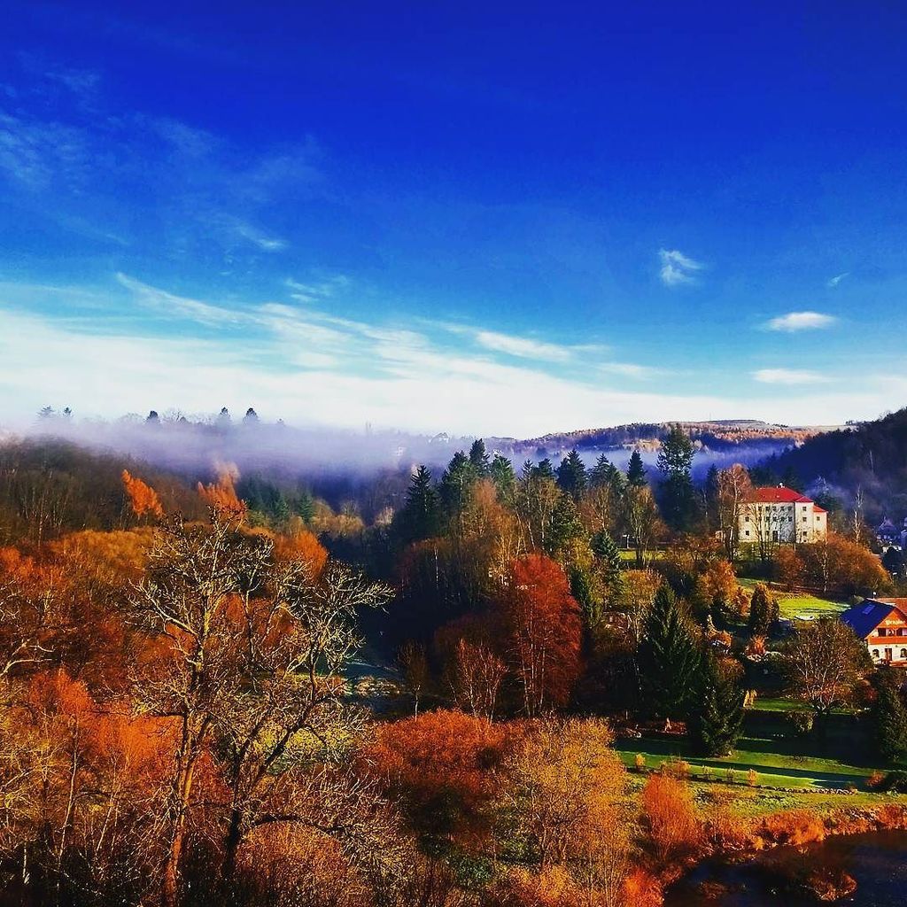 MISSINGMARMITE's tweet photo. A beautiful misty autumn morning #missingmarmite #czechrepublic🇨🇿 #morning #misty #natureporn #nature #beautiful #autumn #fall #trees https://t.co/ZIrQqTik9h https://t.co/peXDtidpP0