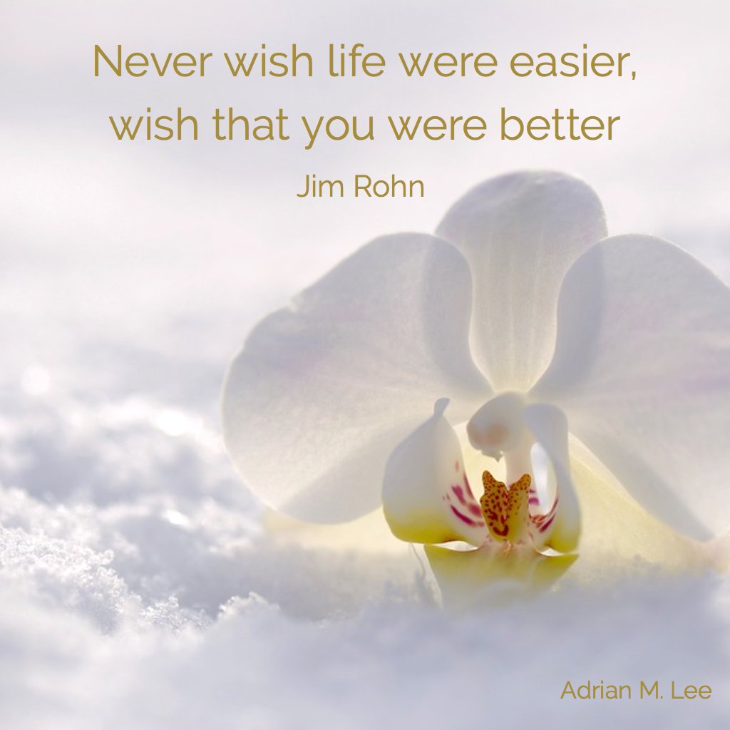 Adrian_M_Lee's tweet photo. https://t.co/xAMSaFbHwX