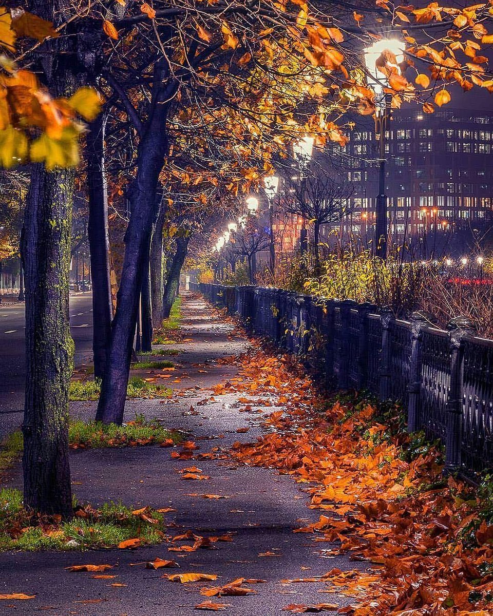 drbroa's tweet photo. #Stillautumn  #November https://t.co/WdP1Piey3o