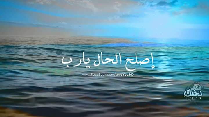 shereengalal97's tweet photo. https://t.co/6bpWwnLFcM