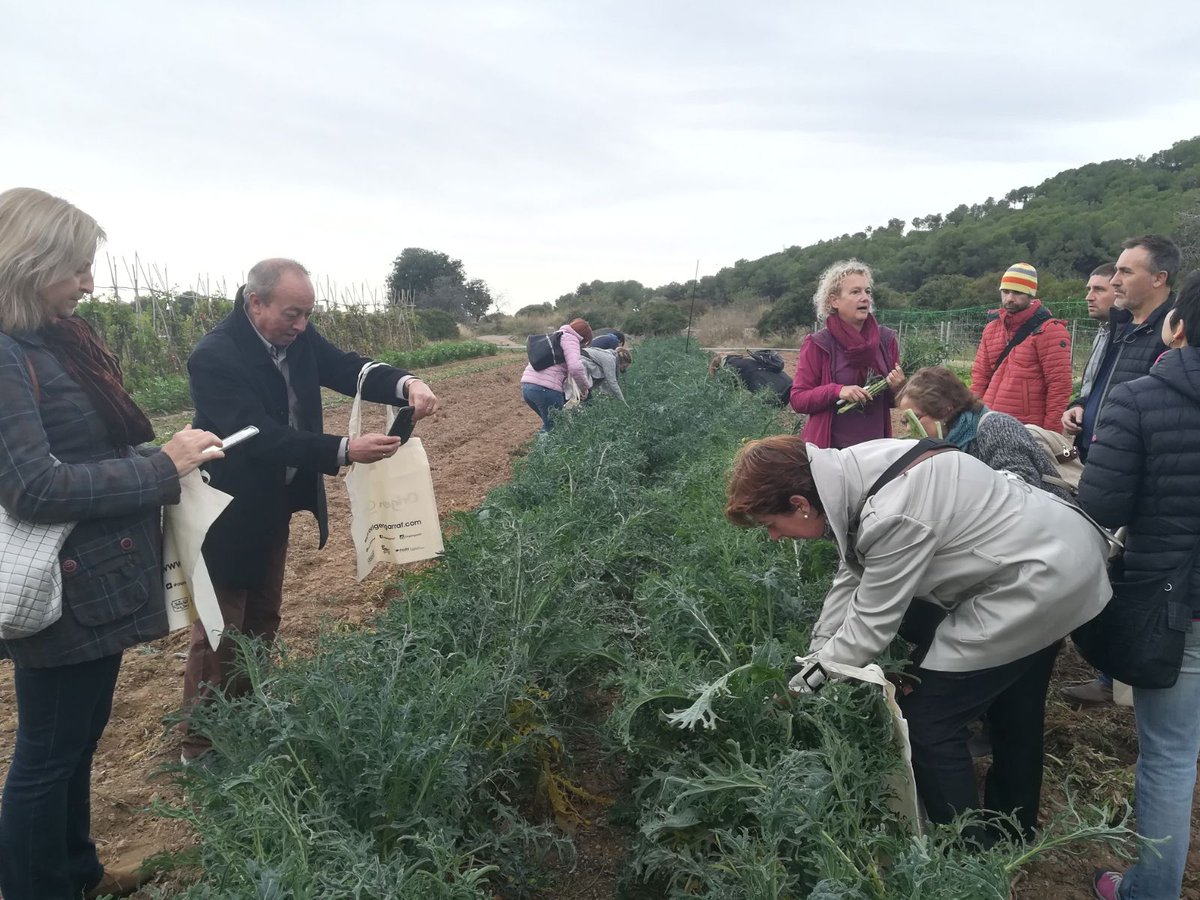 NodeGarraf's tweet photo. El Bus de @laLlotjaDO  ja ha fet la 1a parada a Can Girona @SenciesSitges descobrint l'horta. @mancomunitatPG @isidrealso @RHSugranyes @productesterra @bcnmoltmes @eixdiari @canalblau https://t.co/KzNl43PWj9