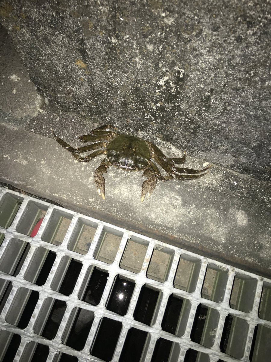 最近寒すぎる。
早くこの頃に戻らんかなー、