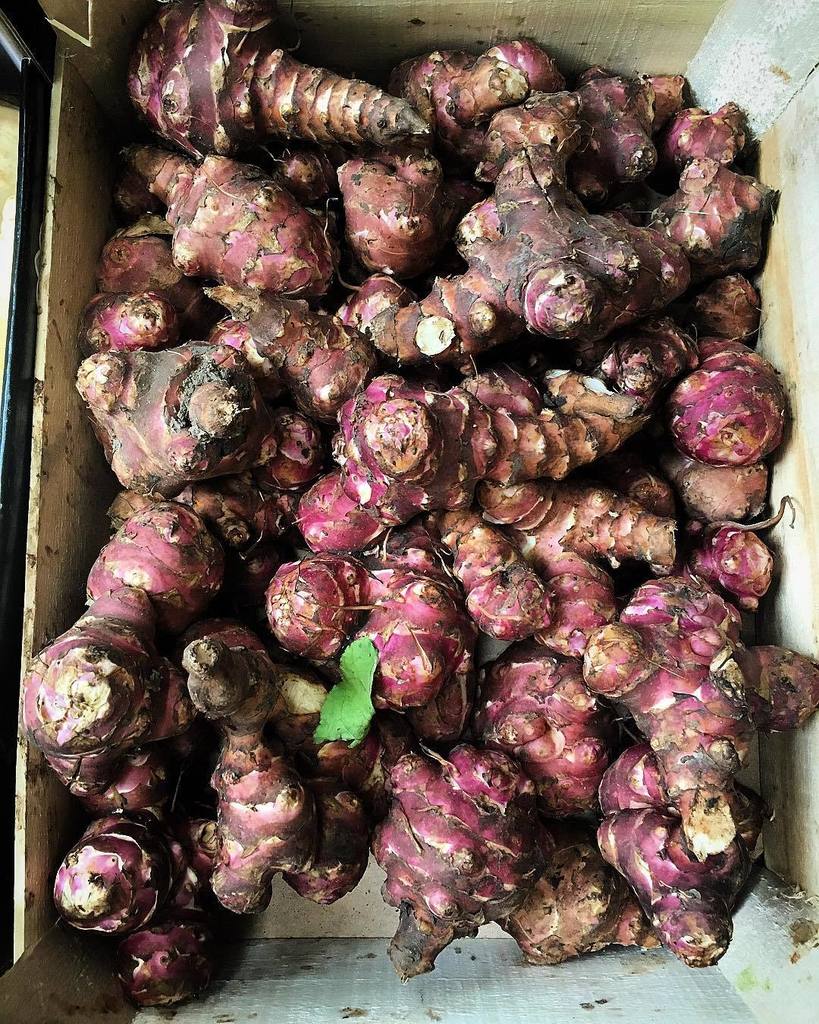 GabeWaterhouse's tweet photo. Jerusalem artichokes - my favourite https://t.co/ywZli8JAOm https://t.co/QnCAeVlo3P