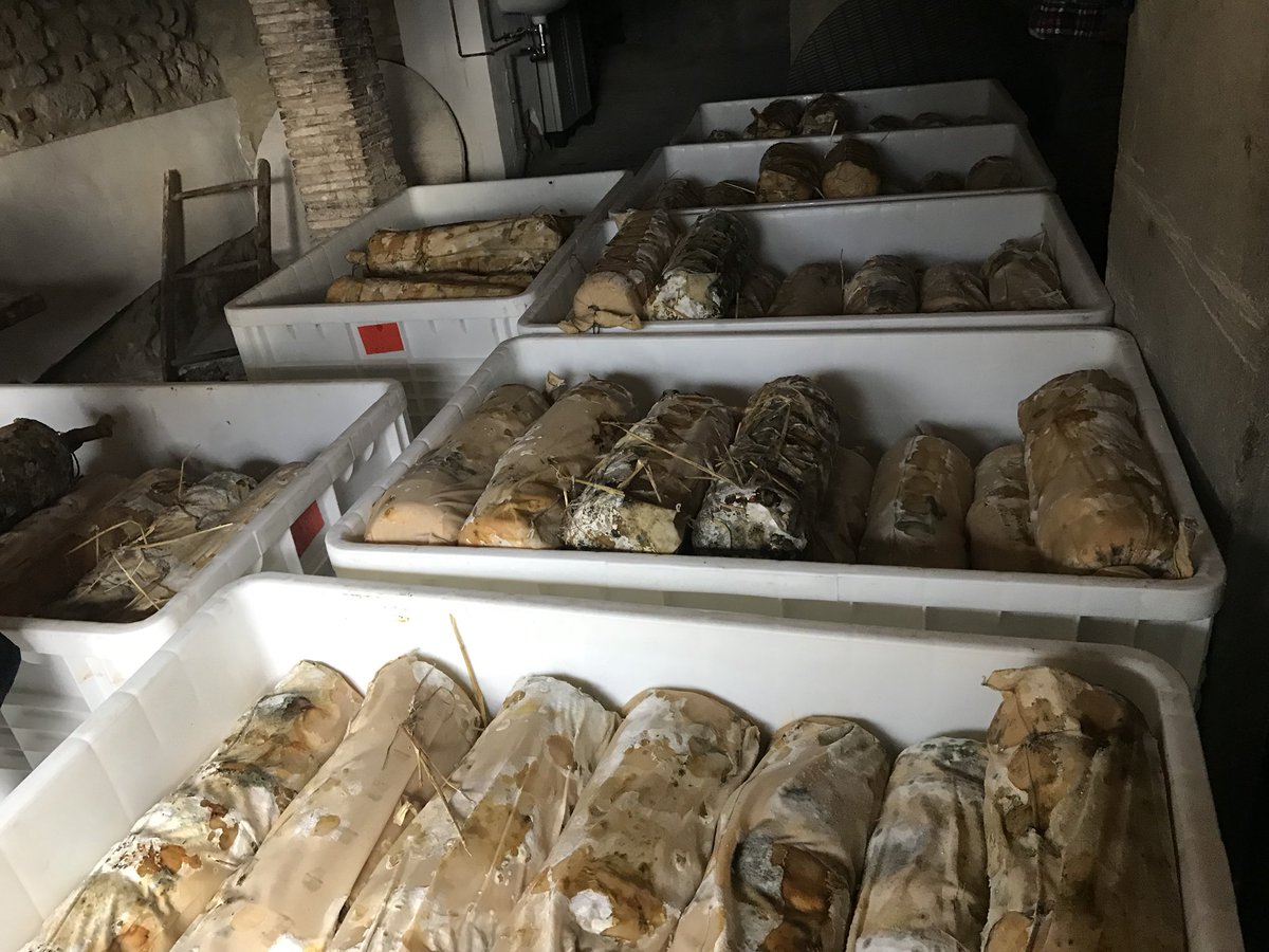 ELodolini's tweet photo. Come da tradizione oggi a #Talamello con la Cooperlat-Trevalli per celebrare il rito della sfossatura #fossa #formaggio https://t.co/RqVROmGe7W