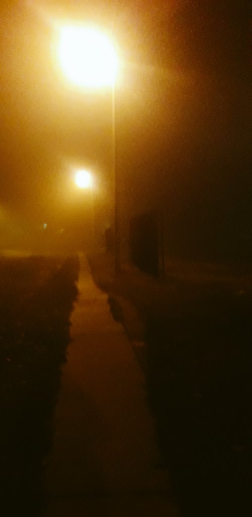 alegz_official's tweet photo. why am i living here
its like the upside down
plus it's like 15m away from the asylum
someone do a conspiracy or a scary vid about my town https://t.co/WsI8CPTk9G
