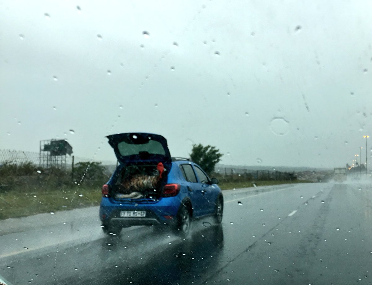 There are good ideas and bad ones, guess which this is?