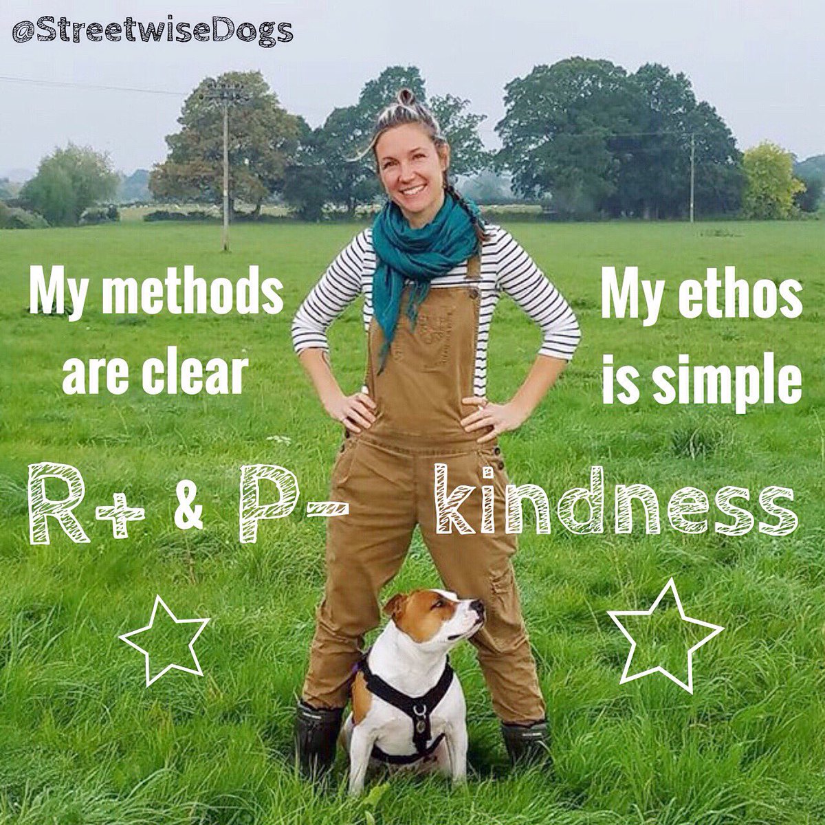 StreetwiseDogs's tweet image. #positivereinforcement #compassion #understandingdogs @StreetwiseDogs