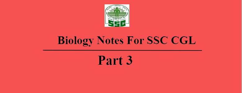 SSCPrepMaterial's tweet photo. https://t.co/CE1PTY0ZPz https://t.co/bkrQcTeW57