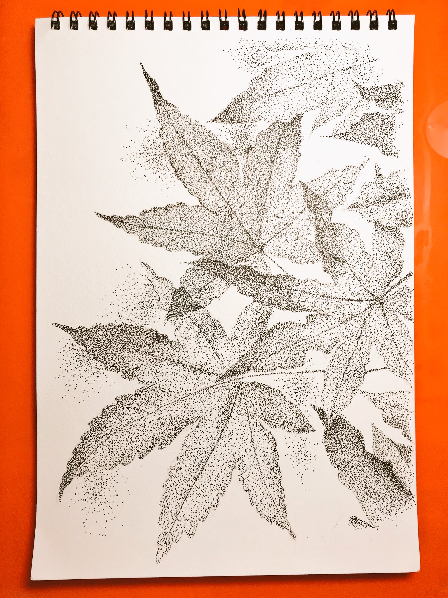 K 点描画 紅葉 K 点描画 紅葉