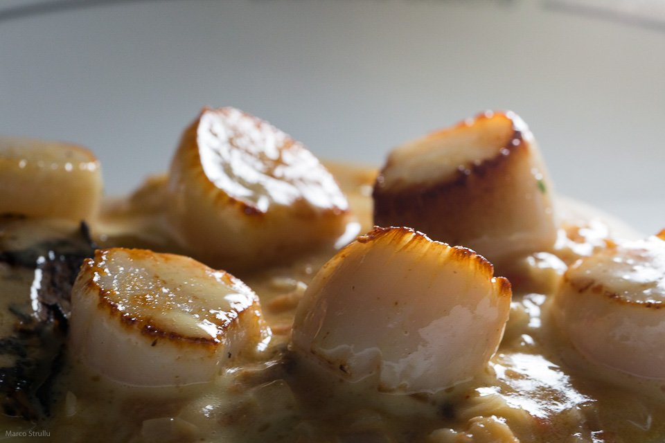 GayaRiveGauche's tweet photo. A partir de mardi midi :
- #Daurade royale mi-cuite, ciboulette / gingembre / parmesan.
- Coquilles Saint-Jacques des #CôtesdArmor, topinambours; 
   bouillon #iodé.
- #Gnocchi de châtaignes et #pecorino, radicchio à l'huile de 
   noisette. https://t.co/R6fjysjOpn