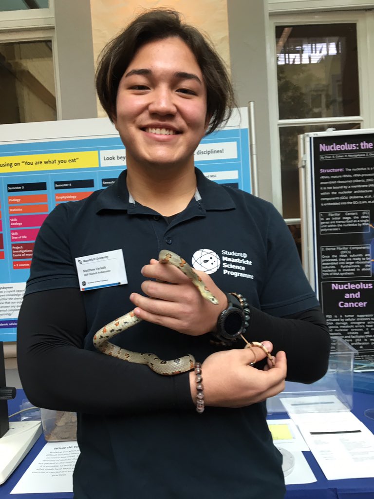 Rianneletschert's tweet photo. Also our Maastricht Science Programme busy with interested students and parents @maasuniversity #bod17. The snake does it..! https://t.co/FvkliM8eGe