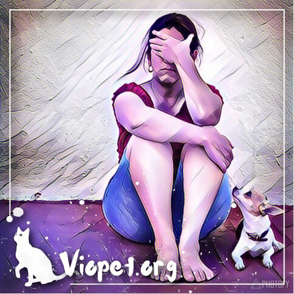 VioPet112's tweet photo. ¿Qué Hacer si eres víctima de violencia?
https://t.co/ti4twdBqDW #haysalida #dvam #dvam2016 #orangetheworld #contralaviolenciadegenero #DiaContralaViolenciadeGenero https://t.co/0oEHaqFXzg