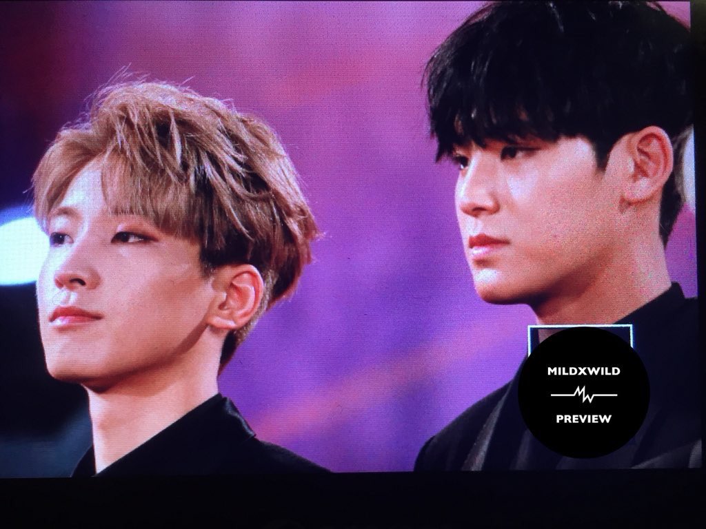 svt_akko's tweet photo. 今日のミーニー🐶🐱

2017 MAMA (Mnet Asian Music Awards) in Vietnam red carpet
SEVENTEEN MEANIE WONWOO MINGYU
cr:mildxwild https://t.co/HoaVlxi3FQ