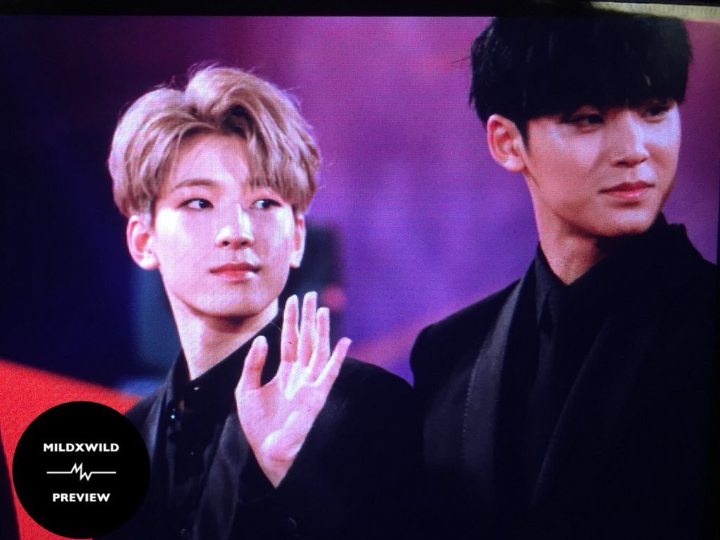 svt_akko's tweet photo. 今日のミーニー🐶🐱

2017 MAMA (Mnet Asian Music Awards) in Vietnam red carpet
SEVENTEEN MEANIE WONWOO MINGYU
cr:mildxwild https://t.co/HoaVlxi3FQ