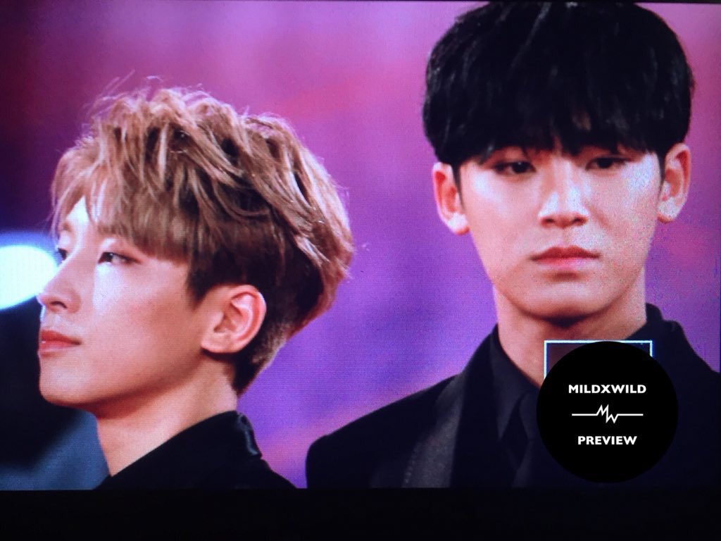 svt_akko's tweet photo. 今日のミーニー🐶🐱

2017 MAMA (Mnet Asian Music Awards) in Vietnam red carpet
SEVENTEEN MEANIE WONWOO MINGYU
cr:mildxwild https://t.co/HoaVlxi3FQ