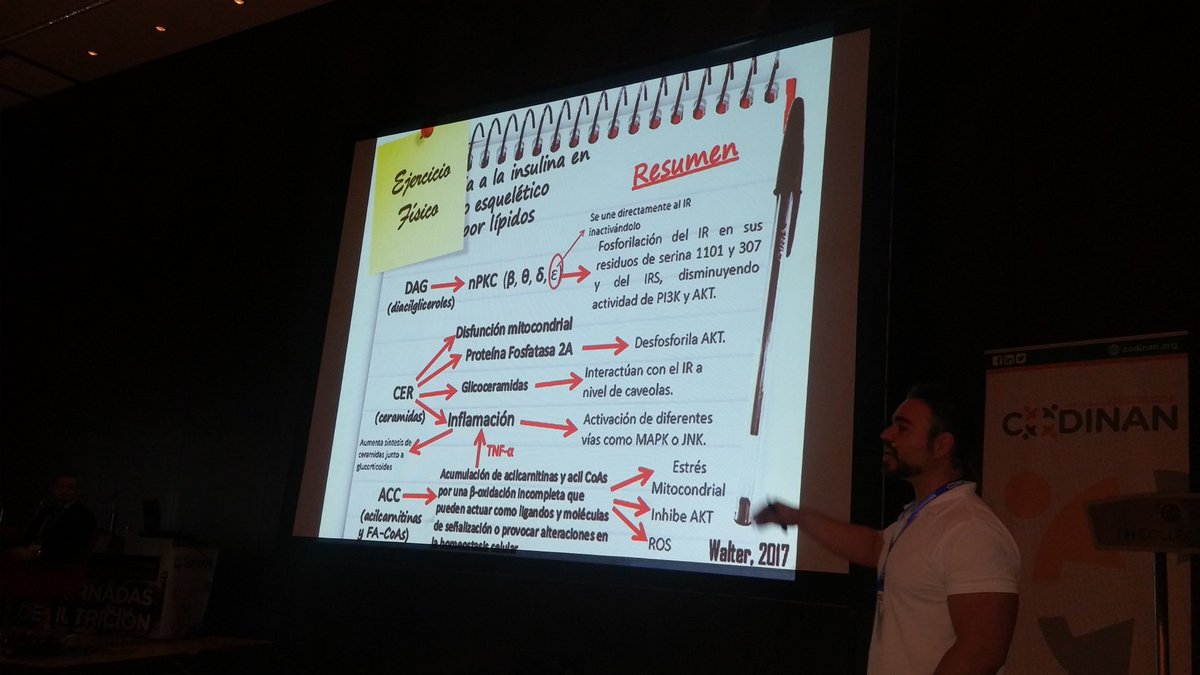 RG Nutrición tweet media