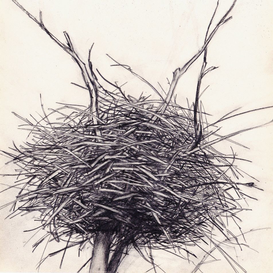 smztmhr's tweet photo. To Be Forming / charcoal on paper

#art #artwork #artist #contemporaryart #japaneseart #painting #oilpainting #artcollector #fineart #instagramart #instaart #drawing #drawingpen #drawingaday #dessin #illustration #アート #イラスト #デッサン https://t.co/LLLMrs7IQl https://t.co/IF3TLUknct
