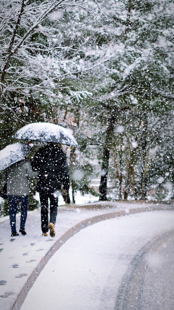 lesgetsnews's tweet photo. Après le Black Friday, voici le White Saturday 😍❄️ ! #madeinlesgets https://t.co/JkKbGV5o6v