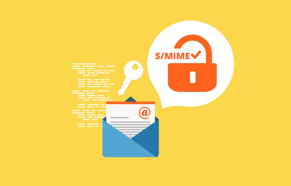 LeaderTelecom's tweet photo. Mail server and email certificates: features of use https://t.co/QjQeyN4tOt #ssl #email #https #mailserver #leaderssl #encryption #leadertelecom https://t.co/psWw5x95OV