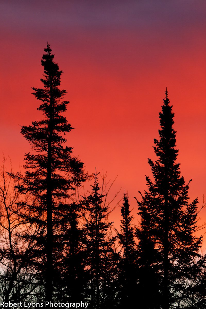 super sunrise Walden VT  #vtwx <a href="/TylerJankoski/">Tyler Jankoski NBC5 📺</a> @CaitlinMyNBC5 <a href="/MichaelPageWx/">Michael Page</a> <a href="/VermontTourism/">Vermont Tourism</a> @TimNBCBoston <a href="/wcax/">Channel 3 News</a> <a href="/SeanMParker/">Sean Parker</a> <a href="/JimCantore/">Jim Cantore</a> <a href="/ericfisher/">Eric Fisher</a> @THISISVT <a href="/NWSBurlington/">NWS Burlington</a> <a href="/TerryWBZ/">Terry Eliasen</a>