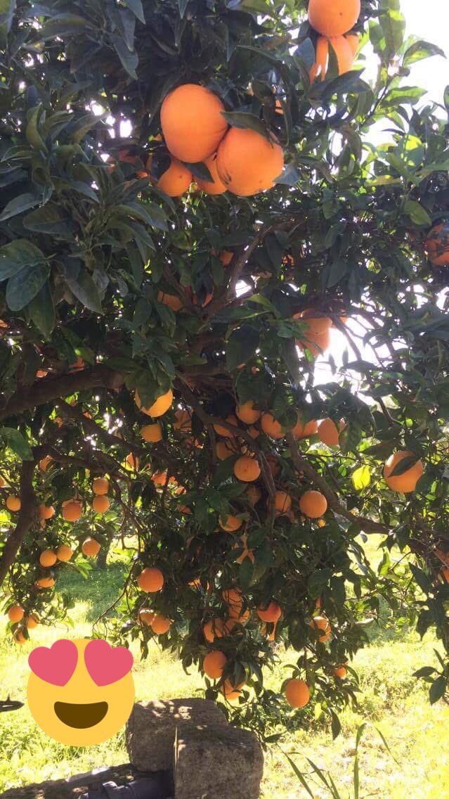 Bio’Select tweet media