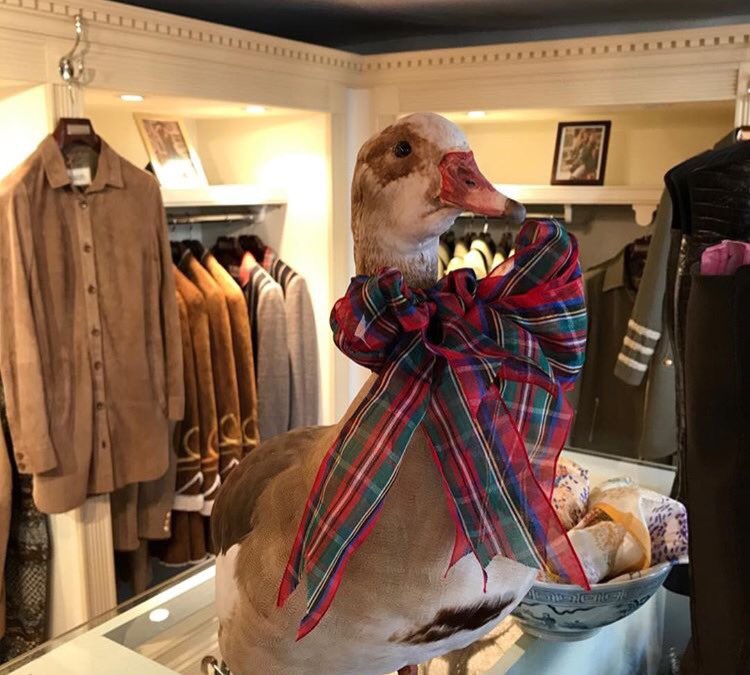 moloh_england's tweet photo. Gretta the goose is ready for Christmas, are you??! #moloh #tetbury #christmas #presents #military #tartan https://t.co/RKbL0lxqJz