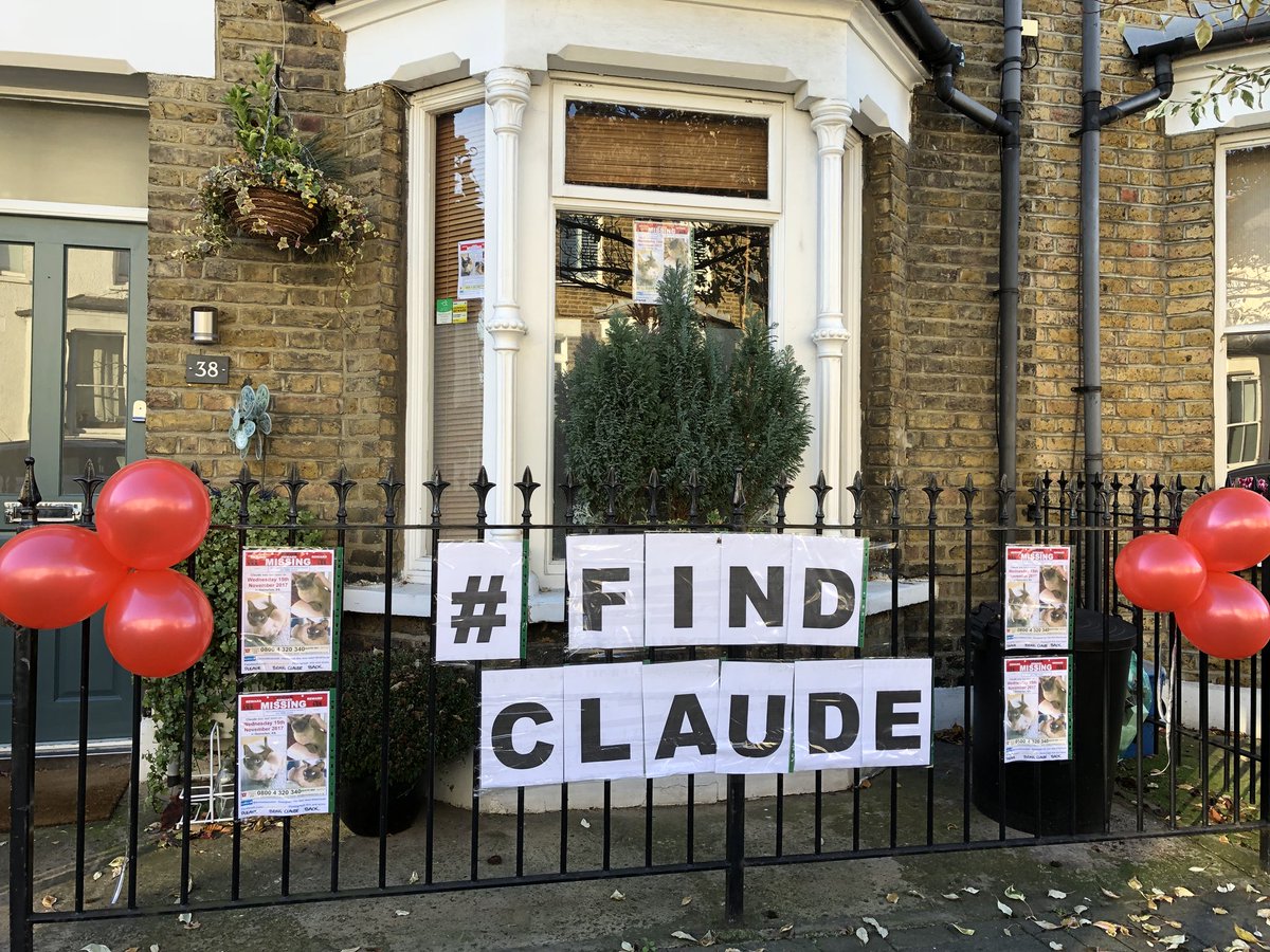 dickdanpete's tweet photo. @TheEllenShow can you help some crazy British dudes in London find their little cat?  We’re going all out to #findCLAUDE #petslost #Hackney #lostcat #burmese #animalsearchuk https://t.co/evF8DkvW8N