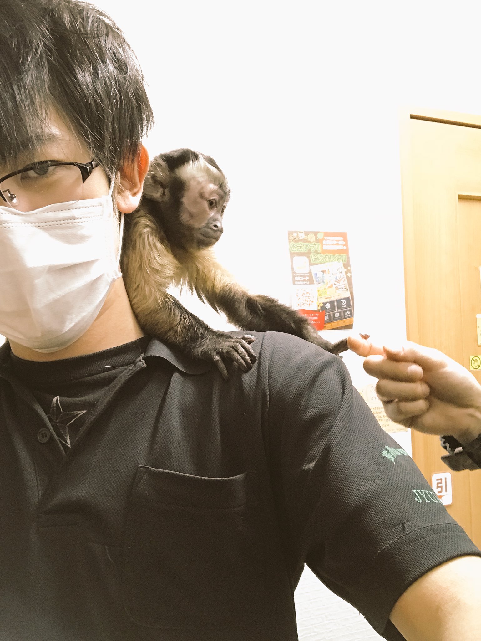 ジュラの杜 爬虫類カフェ 専門店 仙台 アクアリウムバス出発前にお猿さんが初めて肩に乗ってくれて最高に嬉しい気分な店長なう アクアリウムバス フサオマキザル T Co Kjapgghyau Twitter