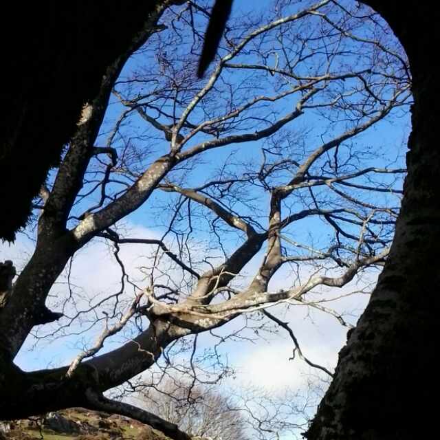 inmemoryd's tweet image. El otoño visto desde Asturias 
#felizfinde #asturias #naturaleza #otoño #FelizSabado