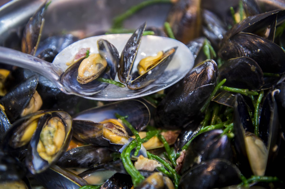 Rope-grown #mussels are widely considered one of the world's most #sustainable sources of Omega-3 #MusselUp