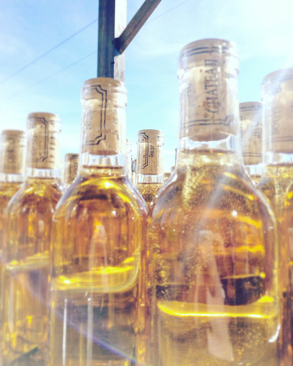CVillefrancheG's tweet photo. Le tonneau ne peut donner que le vin qu'on lui a confié - Proverbe italien #Barsac #Sauternes #VinsDeBordeaux #SweetBordeaux https://t.co/NPuYwrqRYN