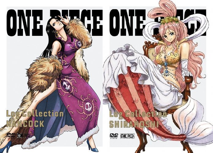 Twitter पर Log ワンピース考察 女ヶ島の海賊女帝 ハンコック 魚人島の人魚姫 しらほし One Piece 世界三大美人 最後の一人は誰 T Co Jumslhkqin T Co Xdlmhxcpm8 Twitter