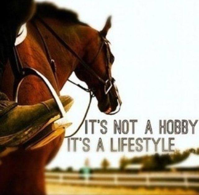 snpproducts's tweet photo. Happy weekend everyone! What are you up to to enjoy the weekend with your four-legged friends? https://t.co/BdMxeUHUB5