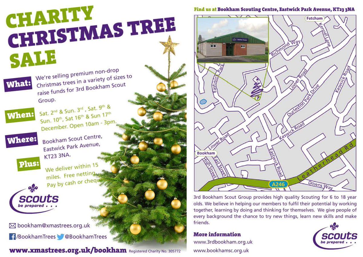 bookhamtrees's tweet photo. 🎄🎄🎄🎄🎄🎄🎄🎄🎄🎄🎄🎄🎄 https://t.co/DdBruQA298