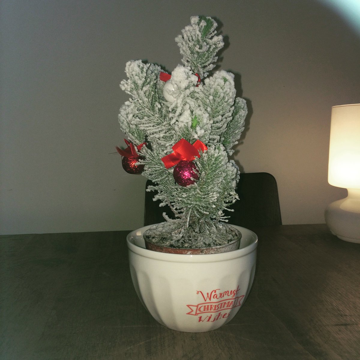 realalesandals's tweet photo. Tree is up https://t.co/bchYKeZz8A