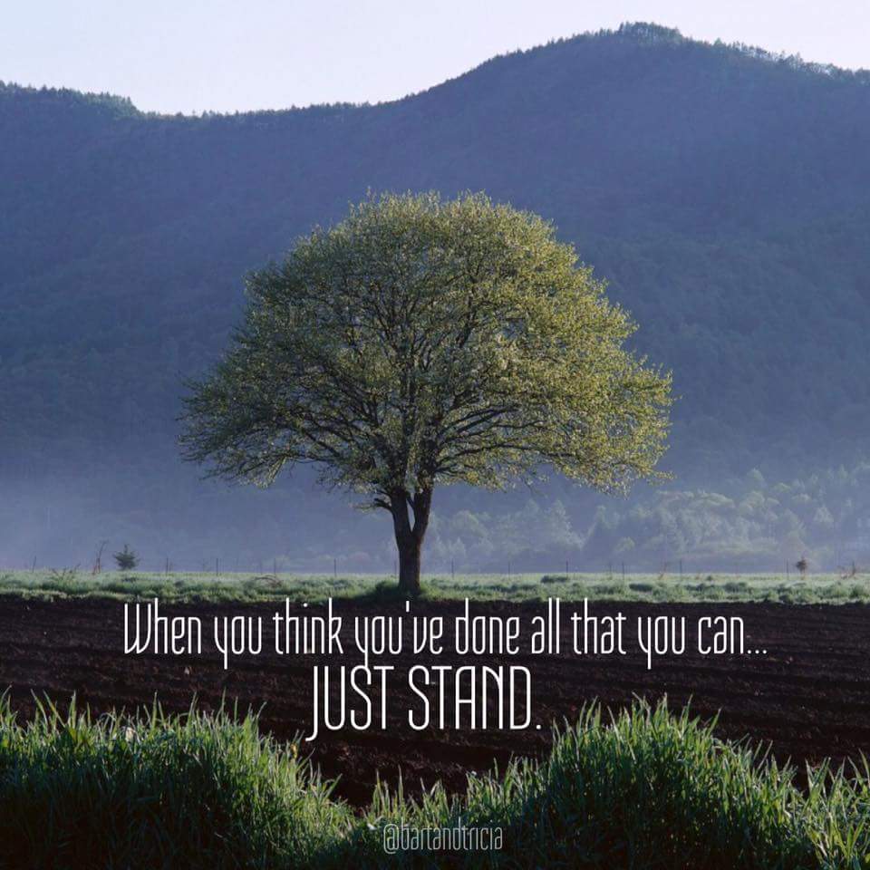 psalm128min's tweet photo. When you don't know what else to do just stand, wait, #God heard you and He knows your needs. #trusthim https://t.co/uuNDCWiCQu