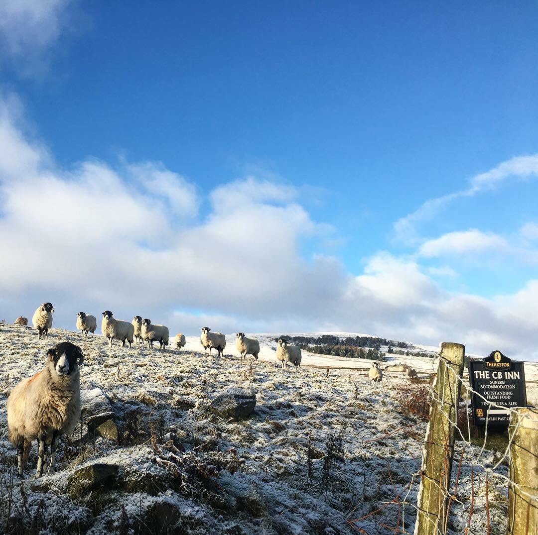 The CB Inn tweet media