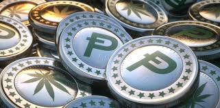 ganjapunks's tweet photo. The future of the #cannabis #potcoin #new #money #rich #newpayment #coins #crypto https://t.co/CyXL9vfp6t