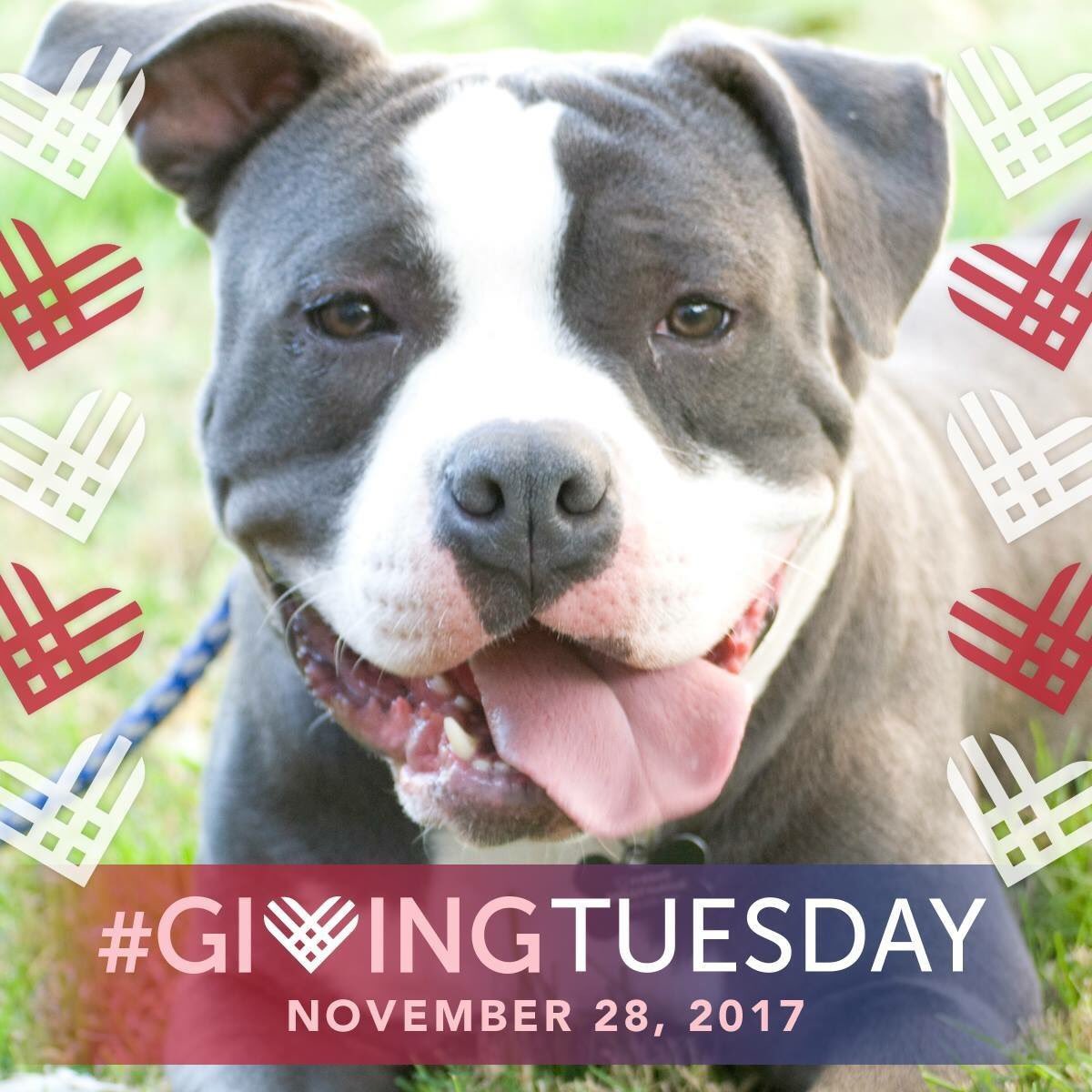 Nathan Stevens tweet media